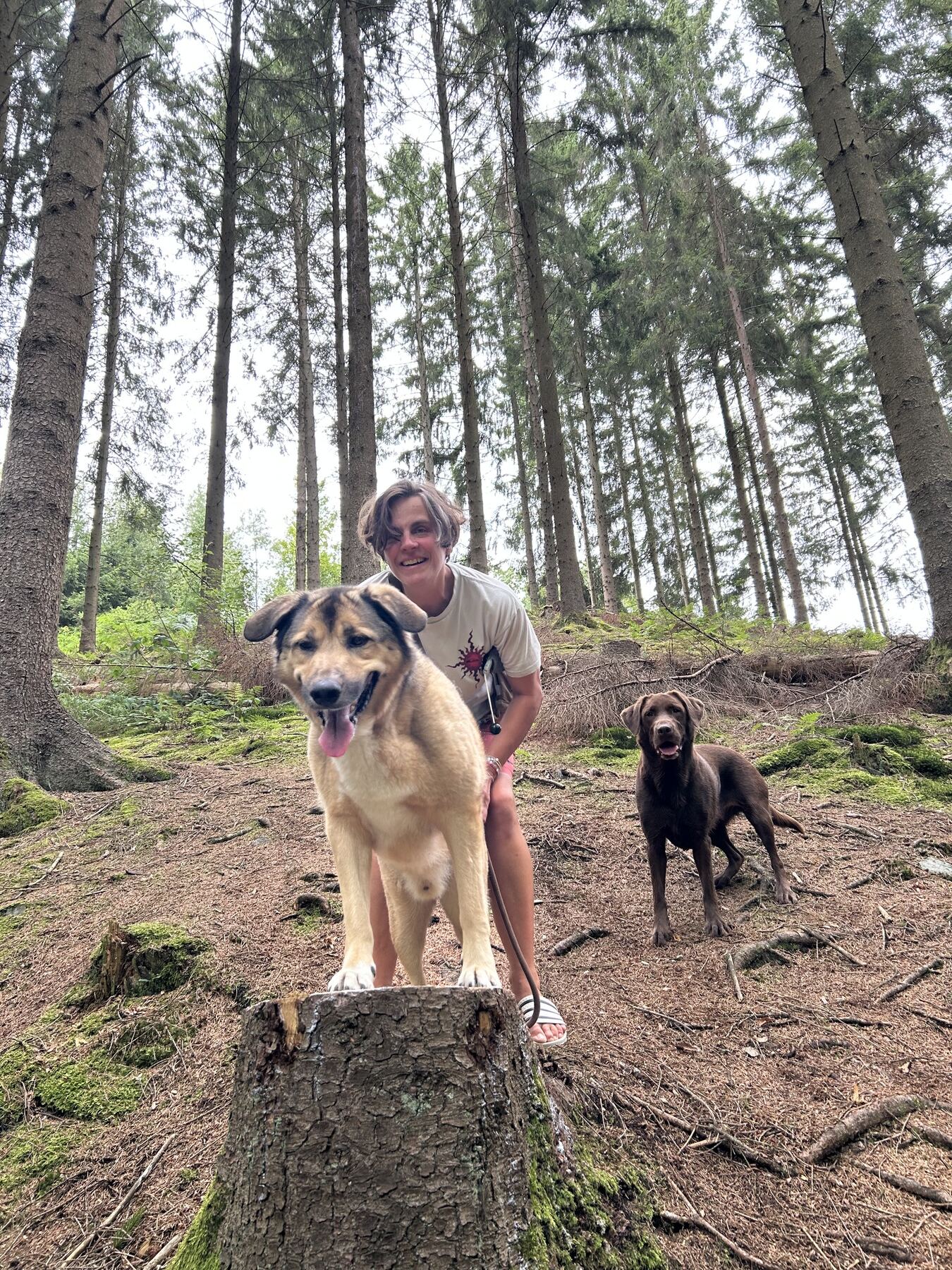 Sandra Hörder mit zwei Hunden bei einem Waldspaziergang, ein Hund posiert auf einem Baumstumpf